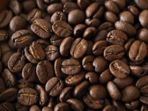 タンザニア　焙煎豆