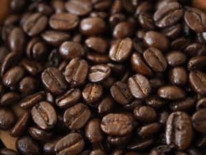 グァテマラ　焙煎豆