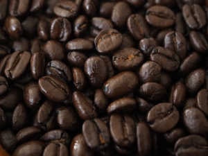 ケニアAA　焙煎豆