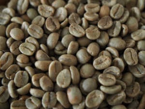 コロンビア　生豆