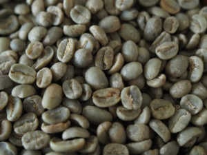 グァテマラ　生豆