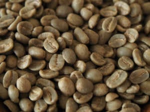 ニューギニア　生豆