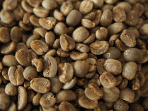 マンデリン　ビンタンリマ　生豆