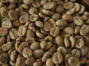 ケニアAA　生豆