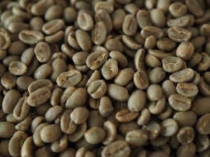 エチオピア　イリガチャフェ　生豆