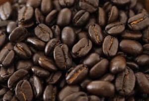 トラジャ　ランテカルア　焙煎豆