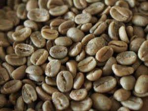 トラジャ　ランテカルア　生豆