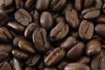 トラジャランテカルア焙煎豆